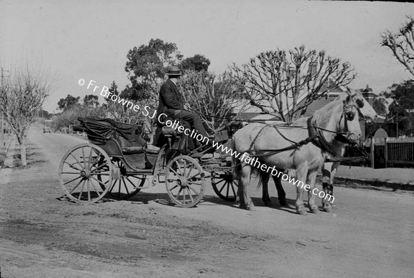 AUSTRALIAN SCENE